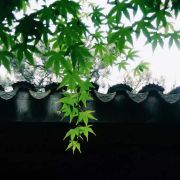 苏州留园攻略,苏州留园门票/游玩攻略/地址/图片/门票价格【携程攻略】